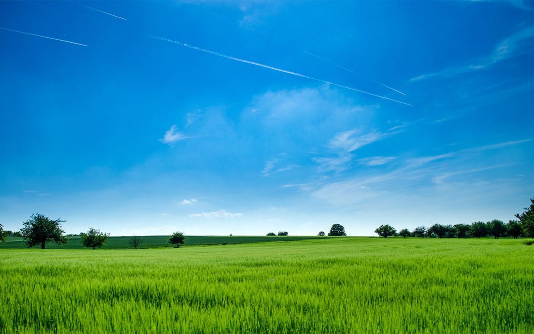 Turning 2022 CARB Regulations into A Supermarket Refrigeration Win