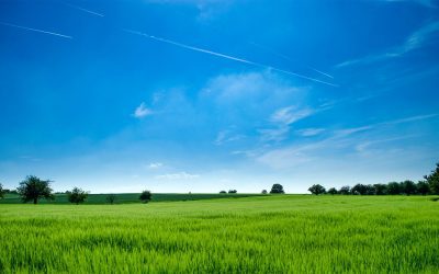 Turning 2022 CARB Regulations into A Supermarket Refrigeration Win
